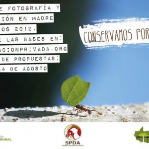 concurso