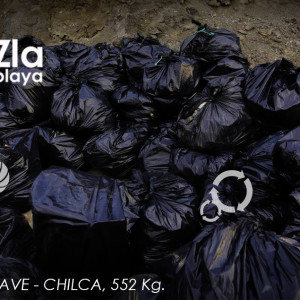 CHILCA, 552Kg 4