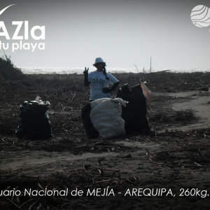 MEJÍA AREQUIPA, 260Kg 2