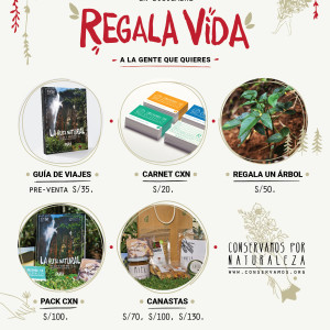 flyer-navidad-cxn-06