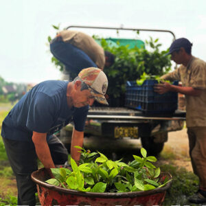 produccion-vivero