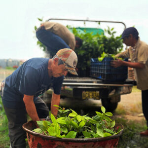 produccion-vivero-2