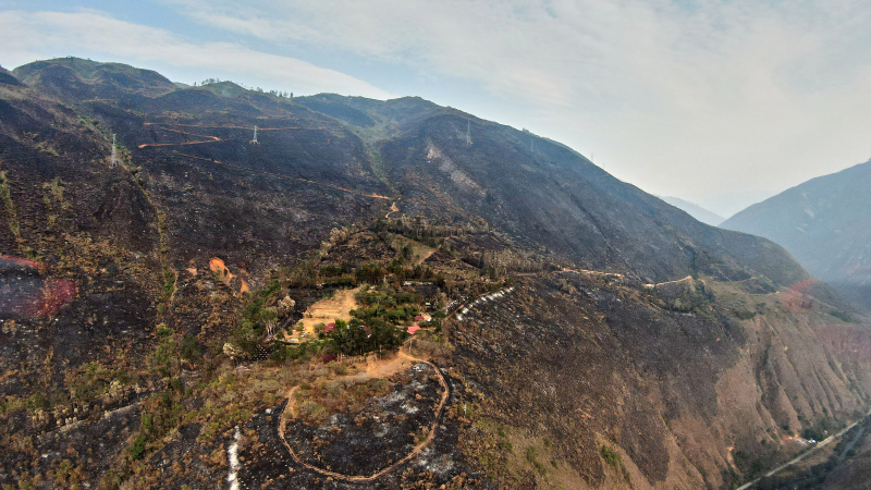 Incendio forestal en la Amazonía