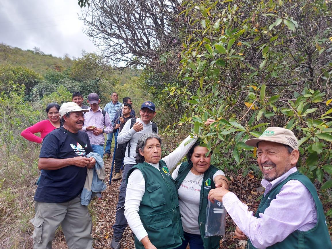 Viveros participaron del taller en manejo de semillas